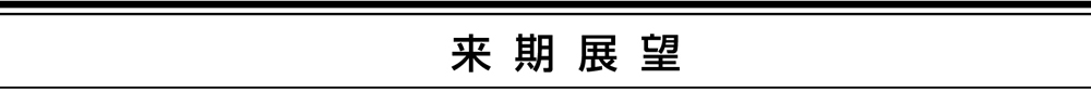 資産、負債・純資産の状況